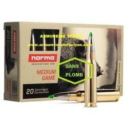 Norma Ecostrike 7x64 - 9,1g/140grs - (x20)