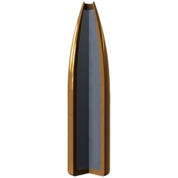 20 Cartouches Nosler 300 Win Mag 180 gr Expansion Tip - Armurerie Loisir