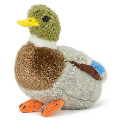 Peluche Canard Colvert petit modèle