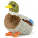 Peluche Canard Colvert petit modèle