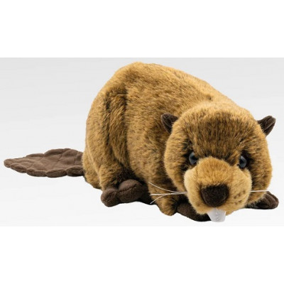 Peluche  Castor - 25cm