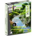 Mary Arm Bismuth Prestige 30 - 12/67 - (x10)