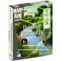 Mary Arm Bismuth Prestige - 12/67 - 6 - (x10)