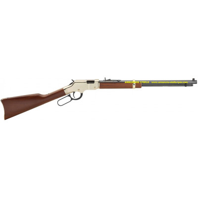 Henry Golden Boy 22lr