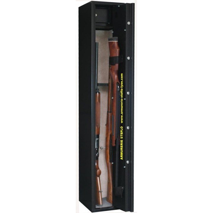 INFAC Coffre Sentinel SD10 - 8+2 armes avec lunette + coffre intérieur