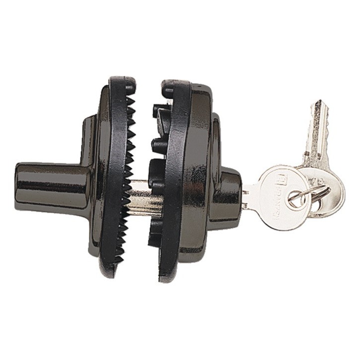 Verrou de pontet à clef