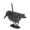 Appelant corneille peinte - 38cm