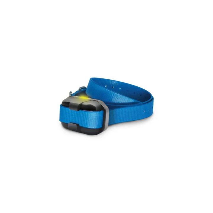 Dogtra Collier Supplémentaire 640X - portée 600m