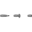 RWS 30.06 Sprg - Speed Tip Pro - 165grs - (x20)