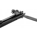 Pack Gamo Roadster IGT 10x + lunette 4x32 - 4,5mm - 19,9 joules