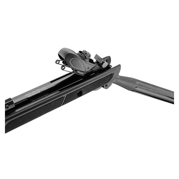 Pack Gamo Roadster IGT 10x + lunette 4x32 - 4,5mm - 19,9 joules