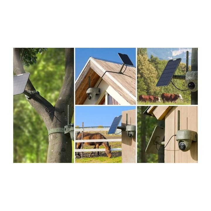 Piège photo Reolink G450 - camo + panneau solaire