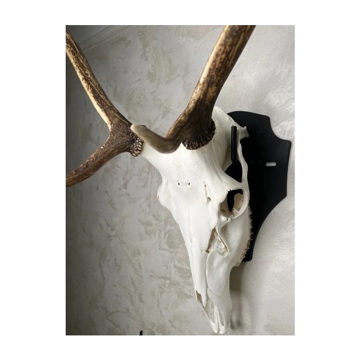 Ecusson cerf acier réglable