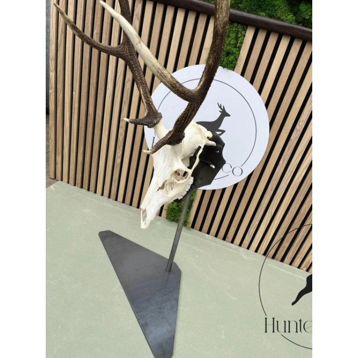 Piédestal trophée cerf réglable en acier