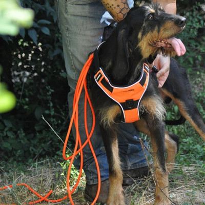 Longe Xtreme tubulaire PVC - Orange - 5m - 8mm - Canihunt