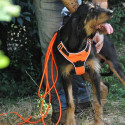 Longe Xtreme tubulaire PVC - Orange - 5m - 8mm - Canihunt