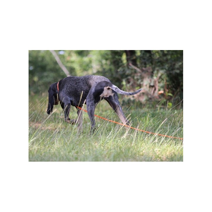 Longe Xtreme tubulaire PVC - Orange - 5m - 8mm - Canihunt