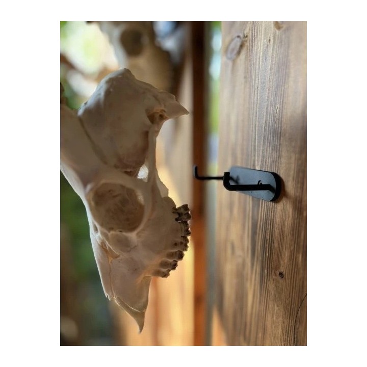 Support mural massacre chamois / brocard acier