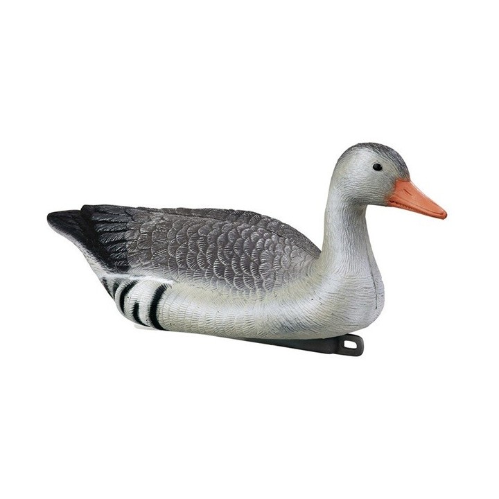 Appelant oie cendrée