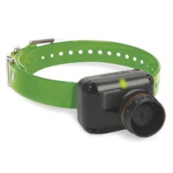 Dogtra - Collier supplémentaire - 2600 T&B