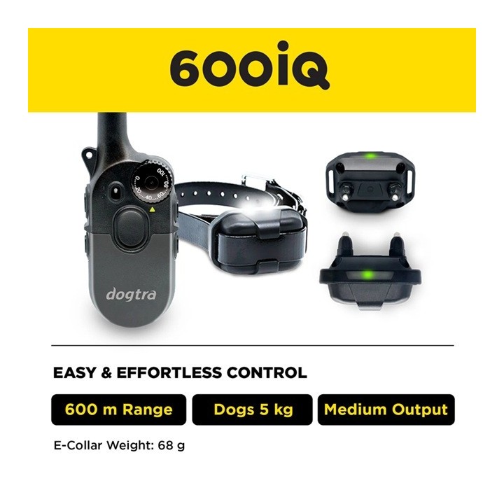 Dogtra 600 IQ - 1 chien - 600m