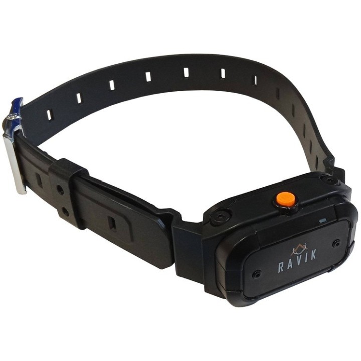 Pack collier dressage RV900 rechargeable - 2 chiens - Ravik - 900m