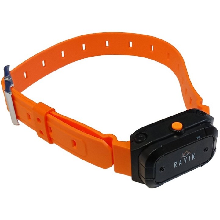 Pack collier dressage RV900 rechargeable - 2 chiens - Ravik - 900m
