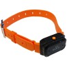 Pack collier dressage RV900 rechargeable - 1 chien - Ravik - 900m