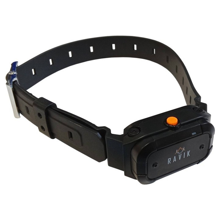 Collier dressage RV900 supplémentaire - rechargeable - Ravik - 900m