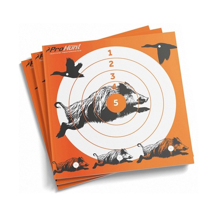 Cibles 14x14cm - (x100) - ProHunt