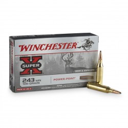 Winchester power point-armurerie-steflo