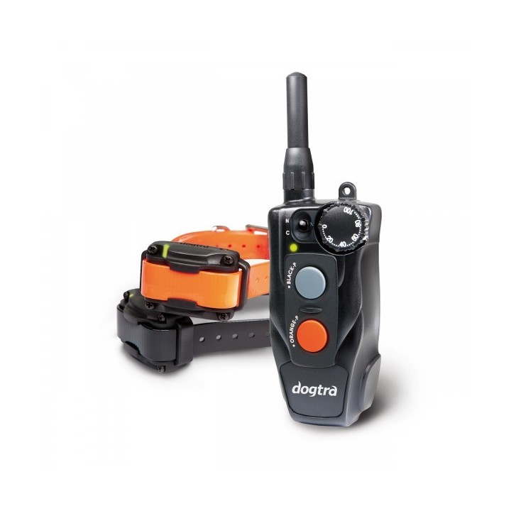 Dogtra 612C 600m deux chiens