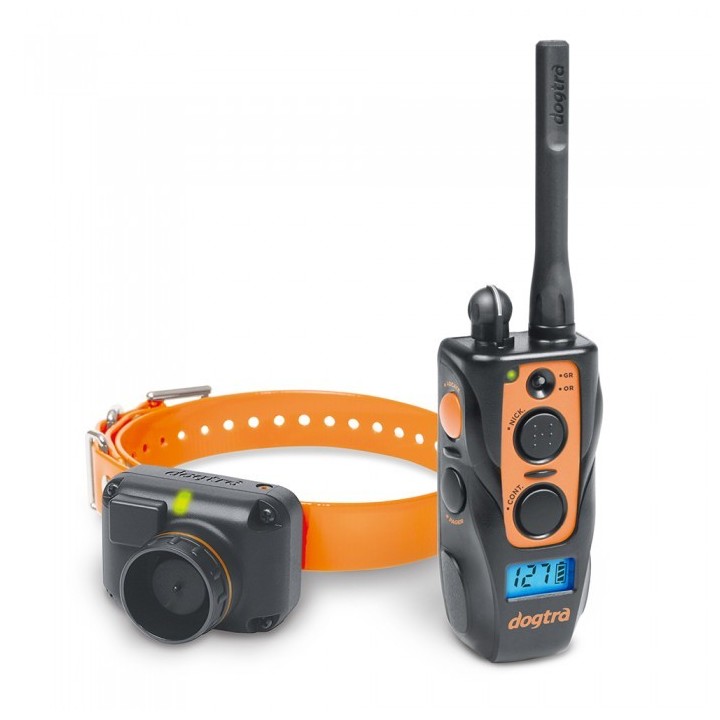 Dogtra 2600 T&B Dressage + Localisation