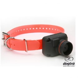 Dogtra STB hawk-reperage-collier-armurerie-steflo