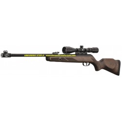 Gamo Hunter 440AS avec Lunette 3-9x40