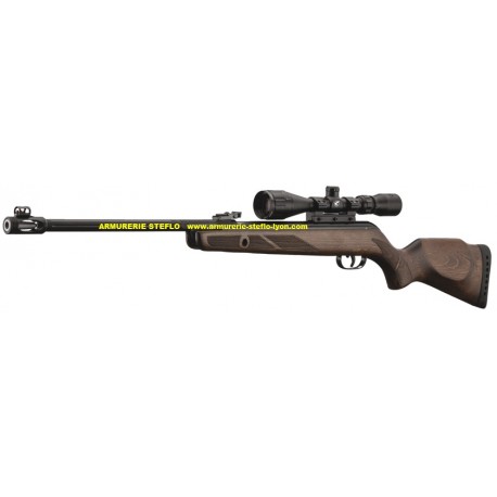 Gamo Hunter 440AS avec Lunette 3-9x40