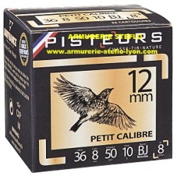 Pisteurs 12mm - BJ - (x25)