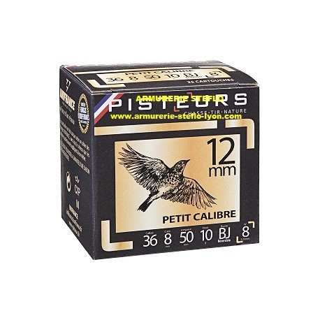 Pisteurs 12mm - BJ - (x25)