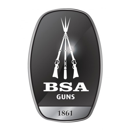 BSA