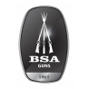 BSA