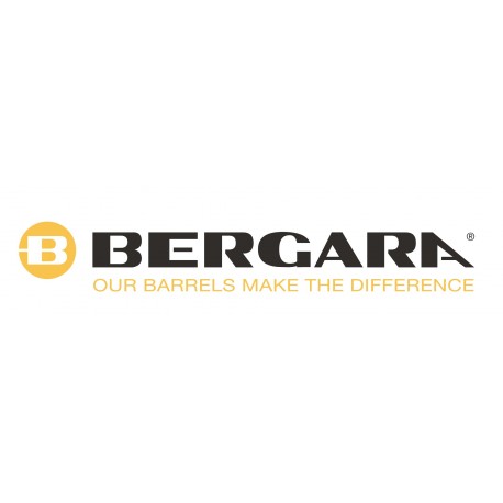 Bergara