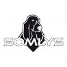 Somlys