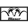 Blaser